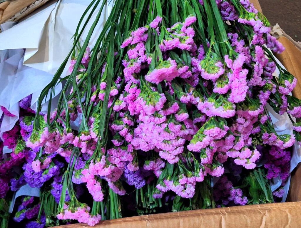 Через Амурскую области прошли 55 тысяч свежих цветов 