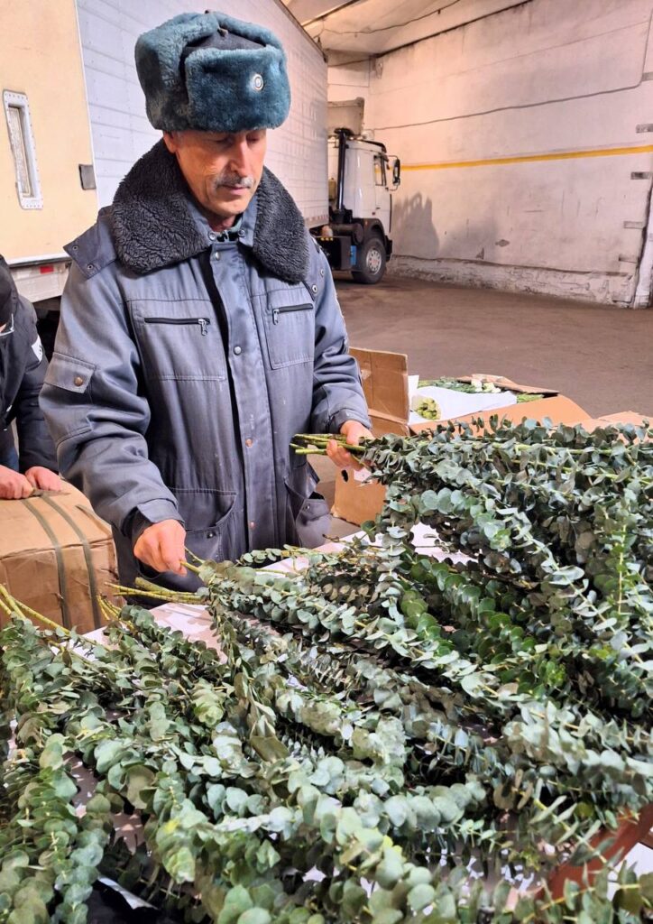 Через Амурскую области прошли 55 тысяч свежих цветов 