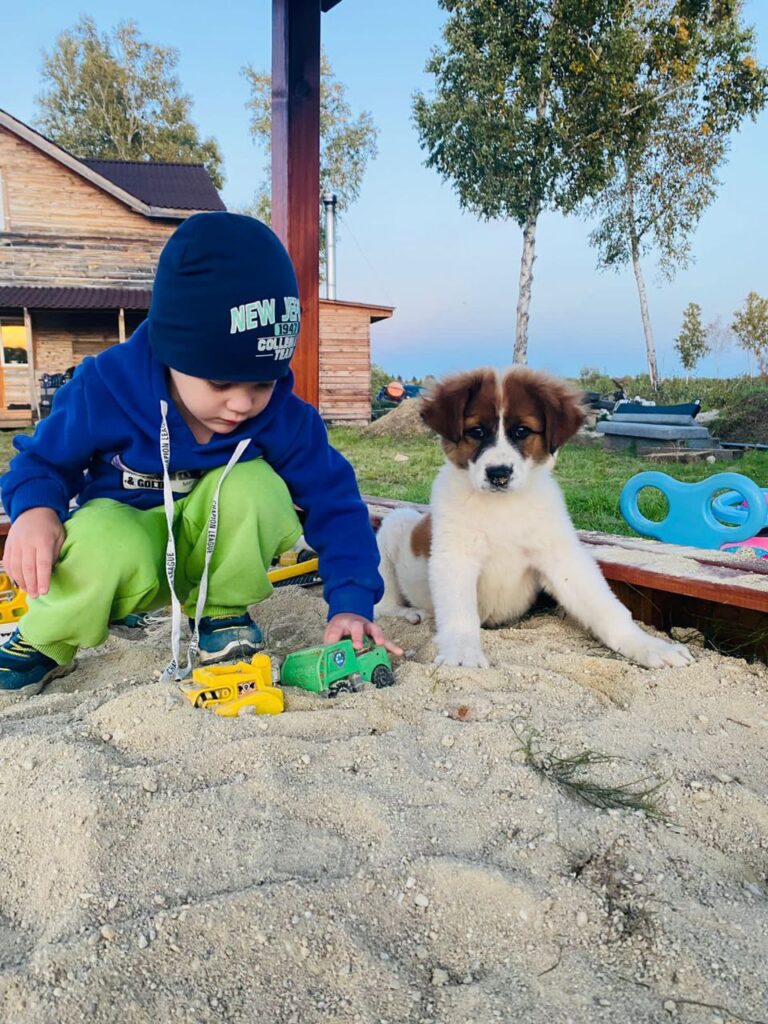 Фото: пресс-служба правительства Амурской области