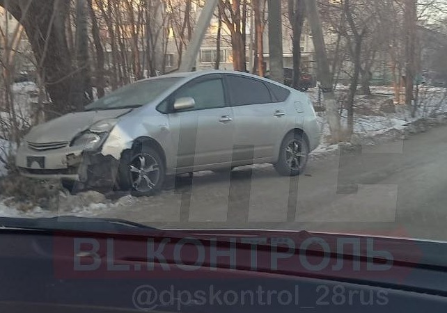 Фото: dpscontrol_28rus