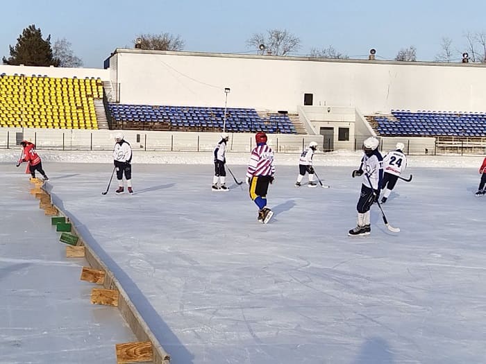 В Приамурье подвели итоги игры в бенди