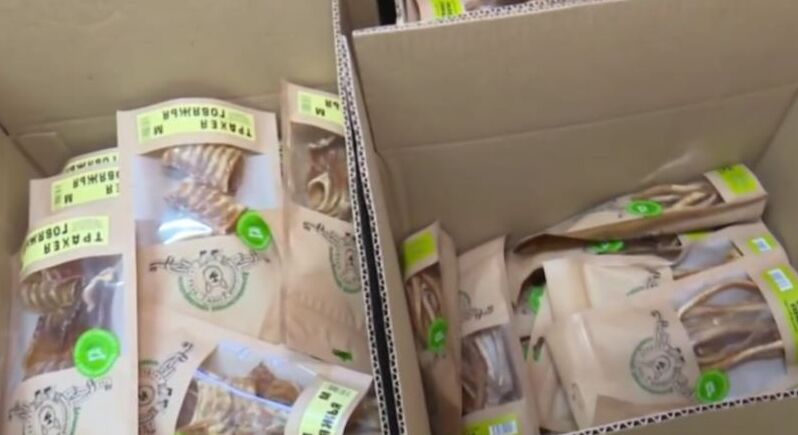 Хабаровские предприниматели создали производство корма для собак