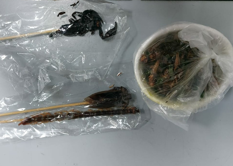 Таможенники изъяли у прилетевшего из Таиланда пассажира шашлык из скорпиона