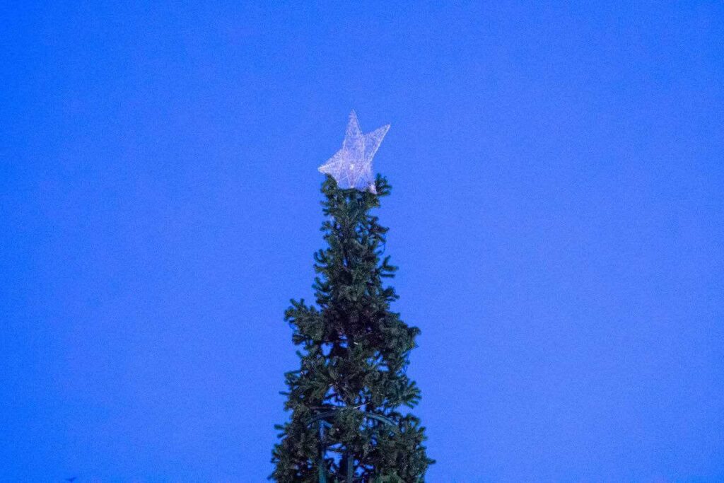 Мэр Благовещенска пообещал открыть горки на набережной к 23 декабря