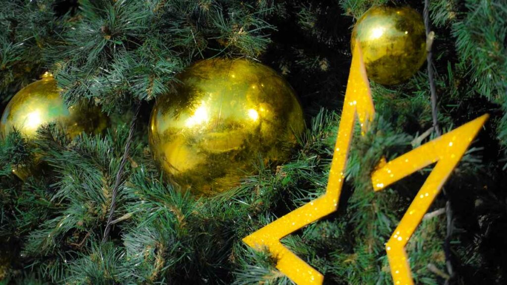 россияне рассказали, что планируют успеть до Нового года