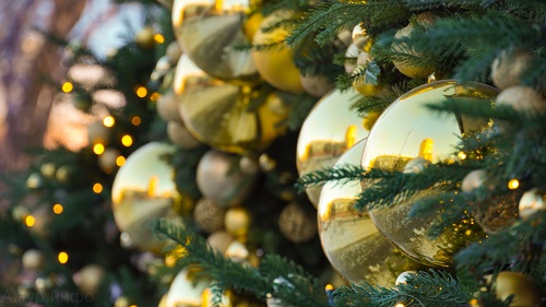 Зеленый цвет – не лучший выбор: в чем встречать год дракона?