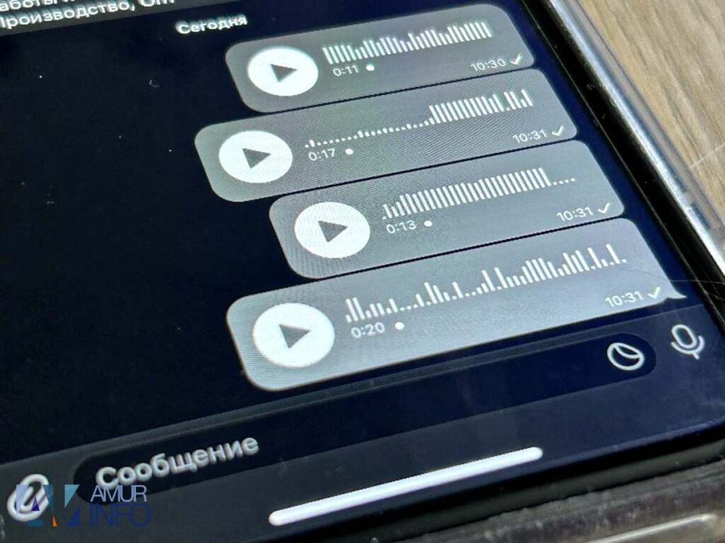 Фото: Амур.инфо