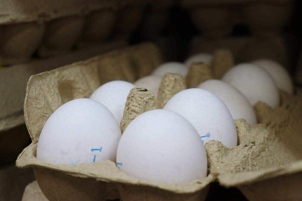 высокие цены на яйца