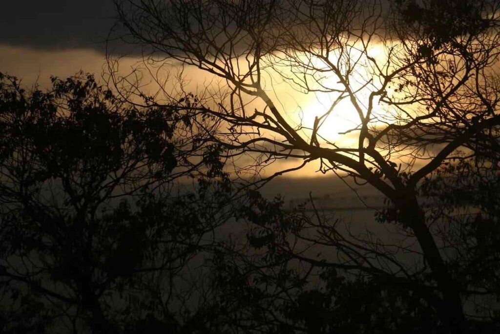 Погода на 14 декабря