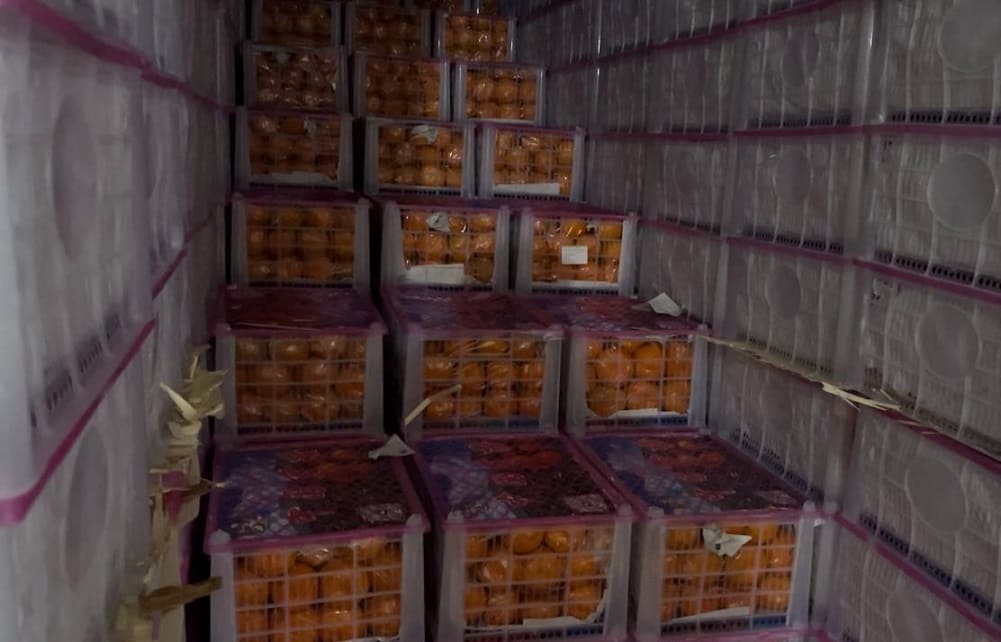 мандарины, импорт из КНР