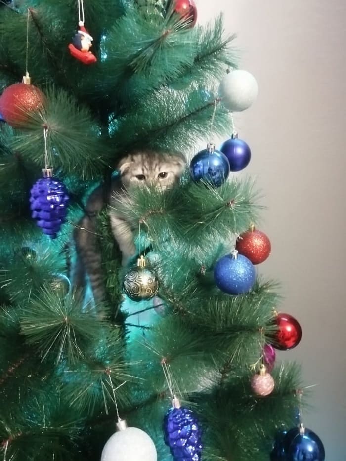 Как украсить елку?: подборка идей от Амур.инфо