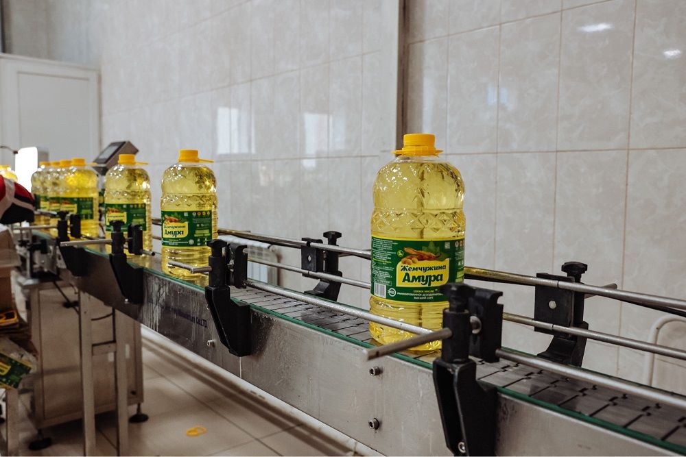 Больше 10 амурских предприятий в 2024 году повысят производительность 