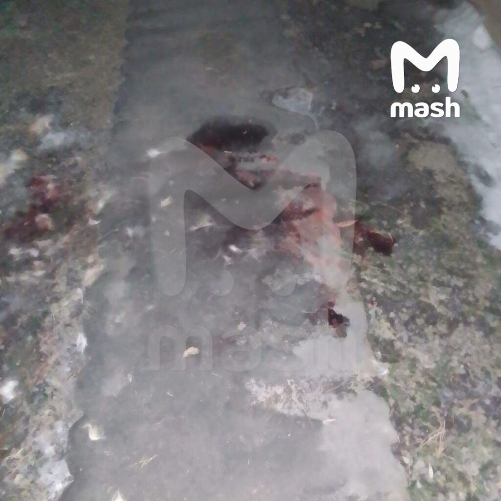 Потрошитель терроризирует жителей приморского села