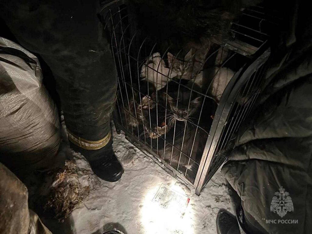 Фото: Главное управление МЧС по Амурской области