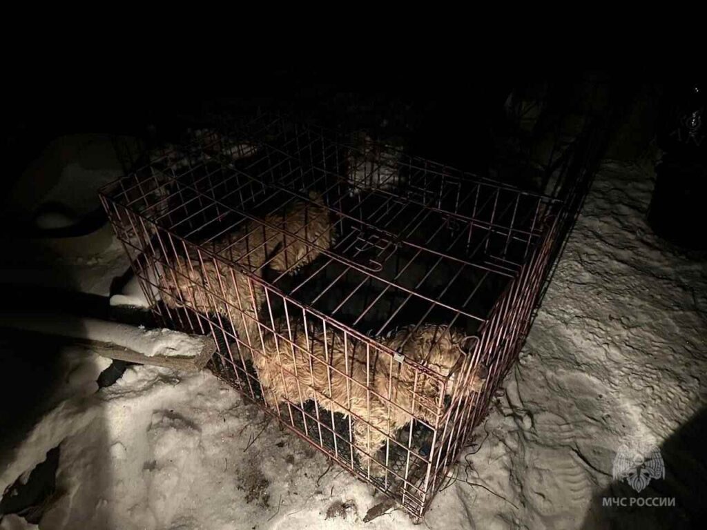 Фото: Главное управление МЧС по Амурской области
