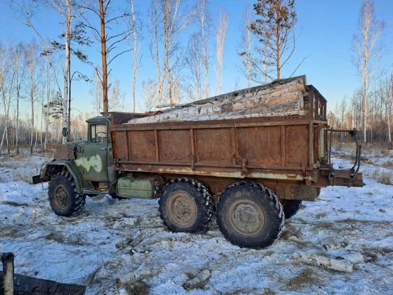 Незаконные лесорубы