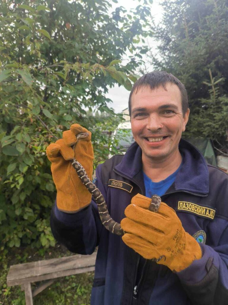 В Амурской области за год спасли 77 человек 