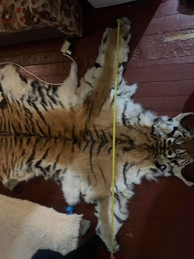 В Приморье задержали торговцев шкурой