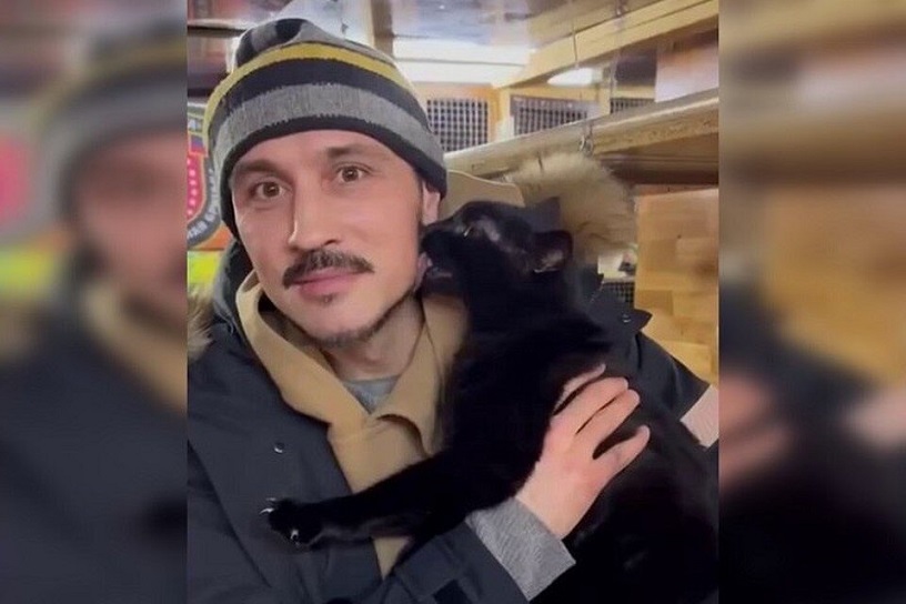 Дима Билан привёз гуманитарную помощь в Донбасс и забрал кота из местного приюта