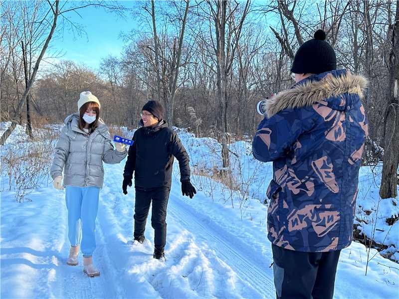 в Китае амурский тигр вышел к съемочной группе