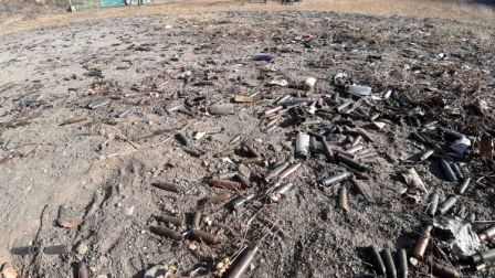 Фото: Амур.инфо