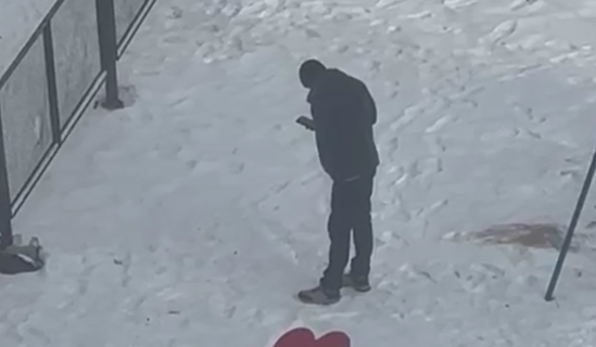 Двор, человек, парковка