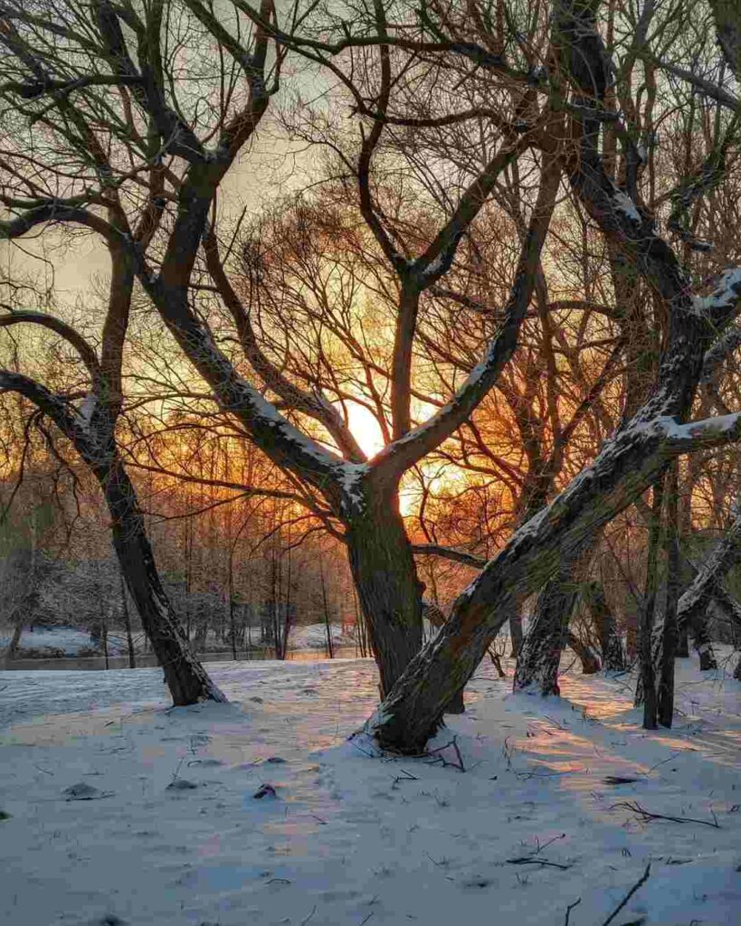 Плутон в Водолее, астрологический прогноз
