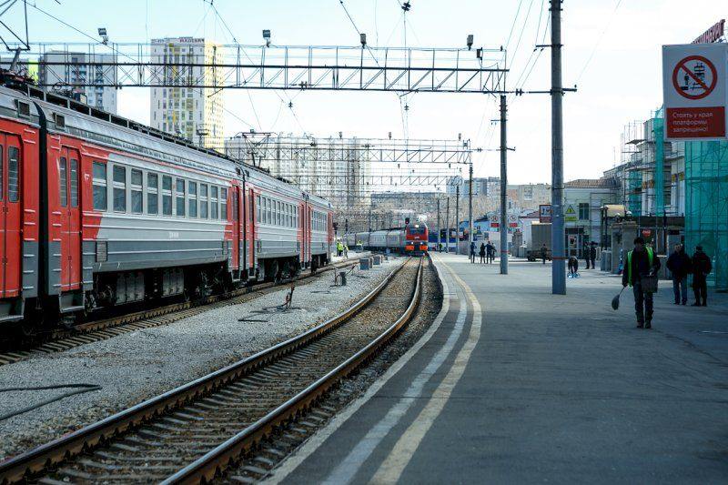 Против выбросившей кота Твикса проводницы завели уголовное дело