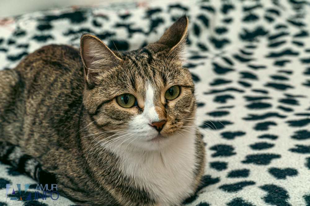 большинство россиян считают, что красота помогает в карьере