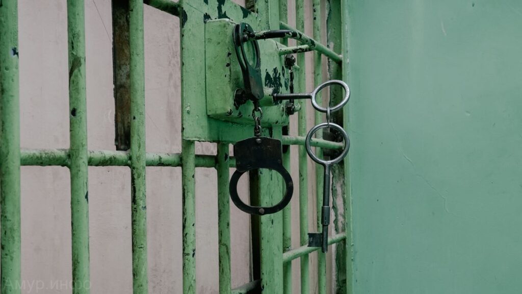 Кладбищенский драчун предстанет перед судом в Приамурье