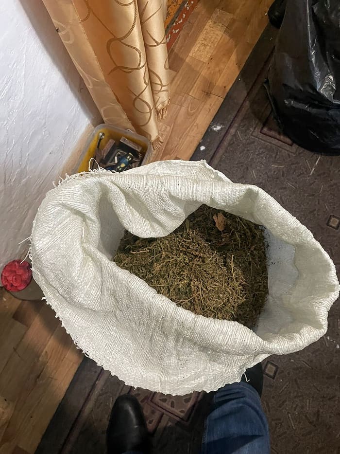 Амурчанин собрал «гербарий», в котором было четыре килограмма наркотика