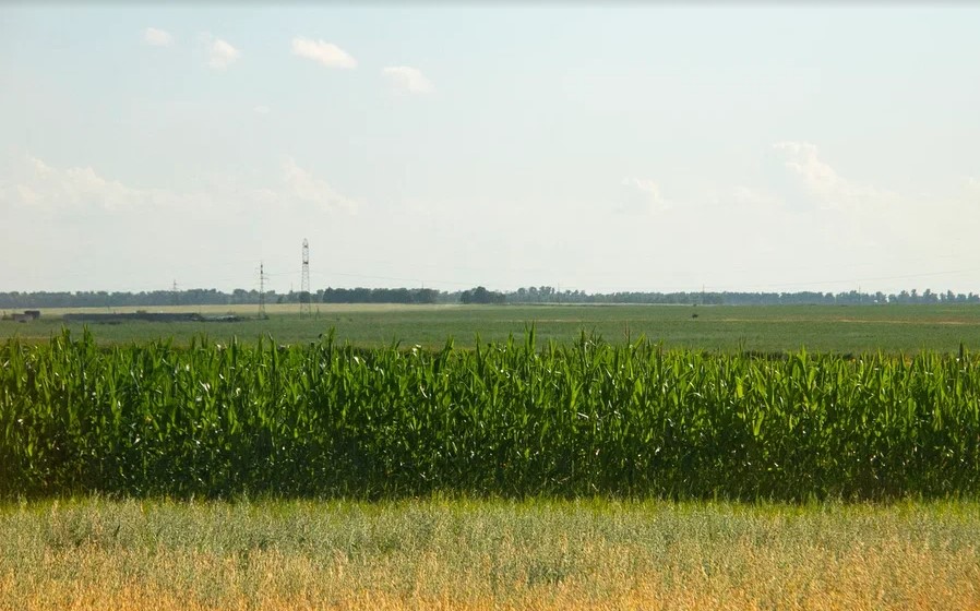 Фото: Амур.инфо