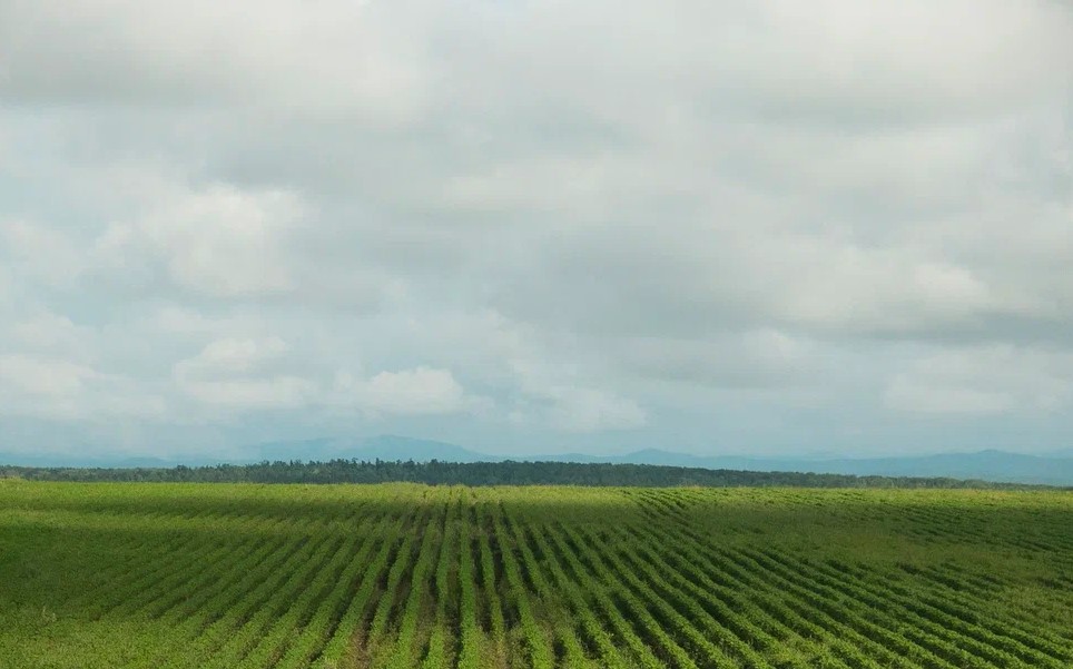 Фото: Амур.инфо