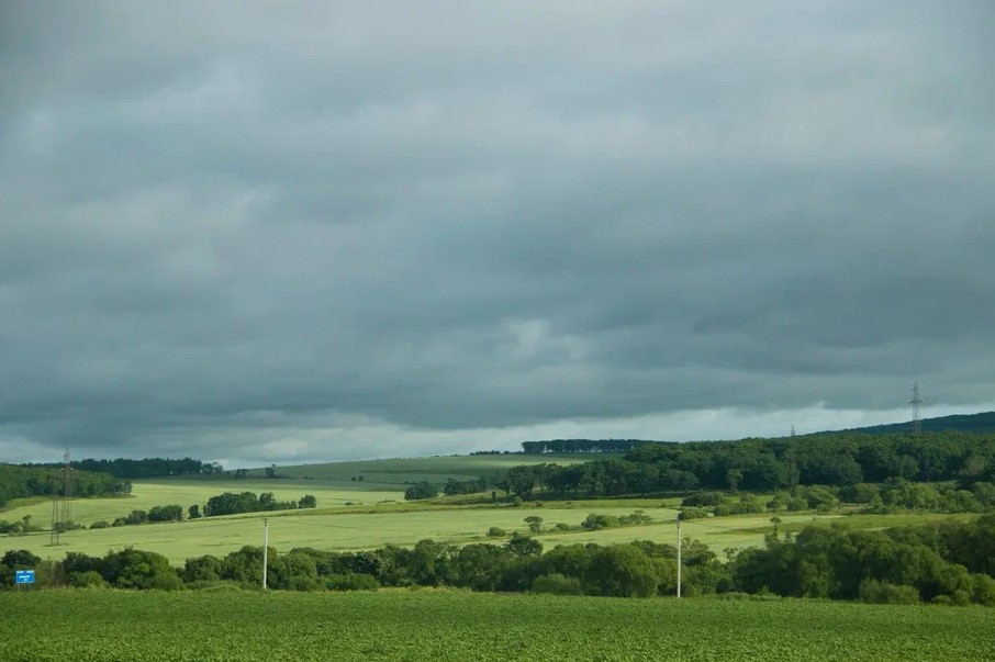 Фото: Амур.инфо