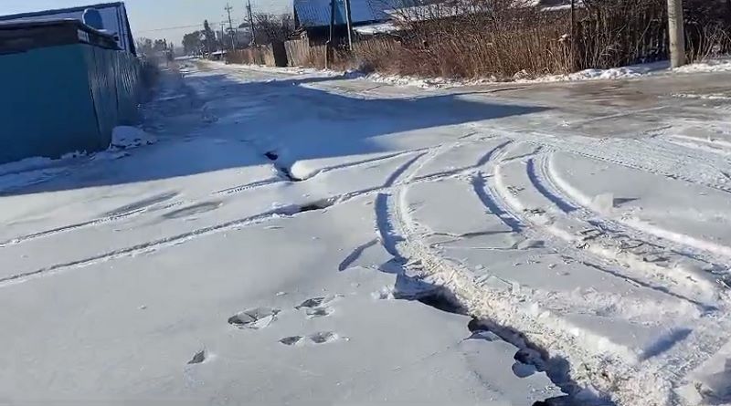 наледь