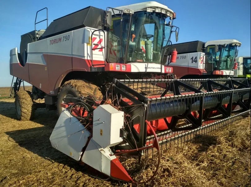 Фото: Амур.инфо