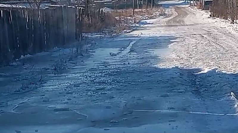 наледь