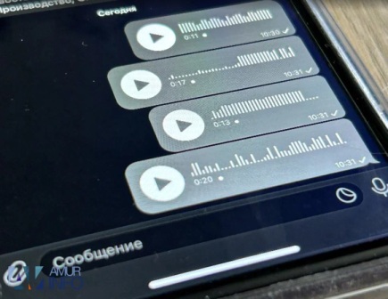 Фото: Амур.инфо