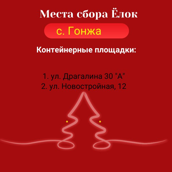 Места сбора ёлок в Магдагачинском районе