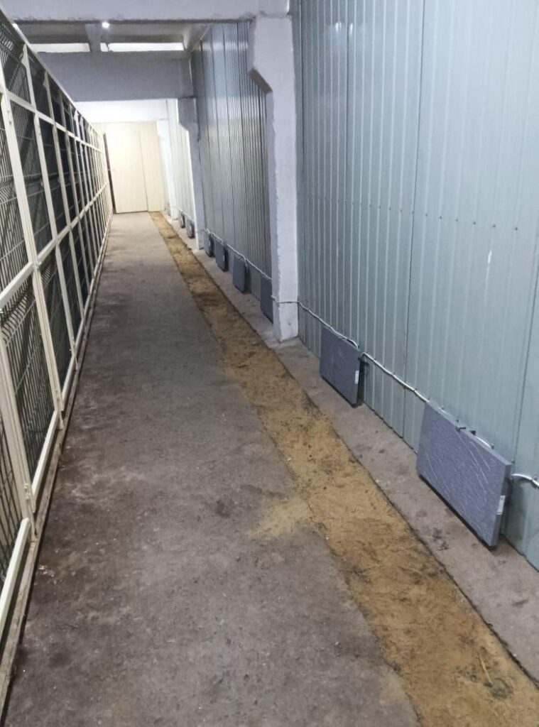 Приют для животных