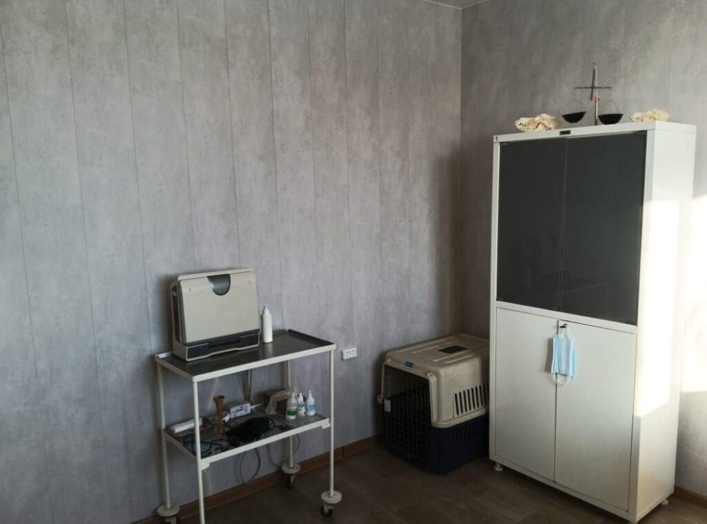 Приют для животных