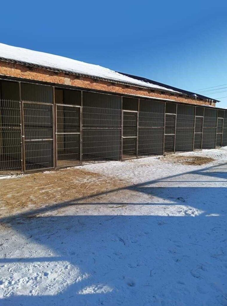 Приют для животных