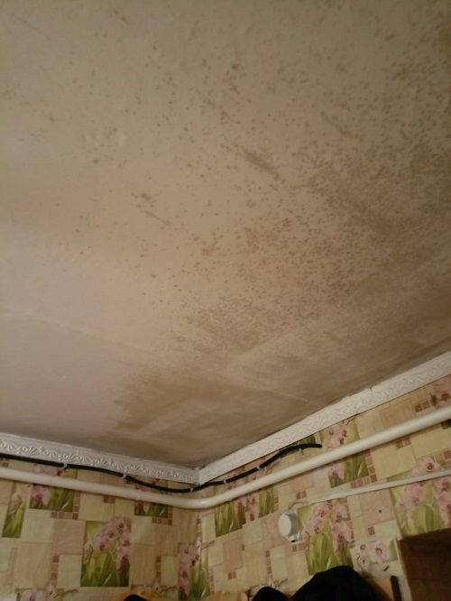 Пожар уничтожил дом: амурчан просят помочь сельскому учителю