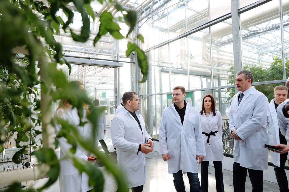 комбинат «Тепличный», министр по развитию ДВ и Арктики