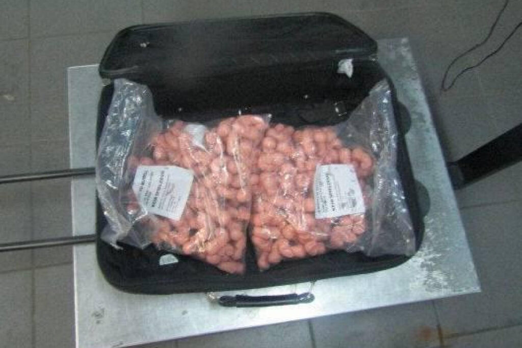 Жительница Эстонии пыталась провезти в Россию 200 эмбрионов в чемодане