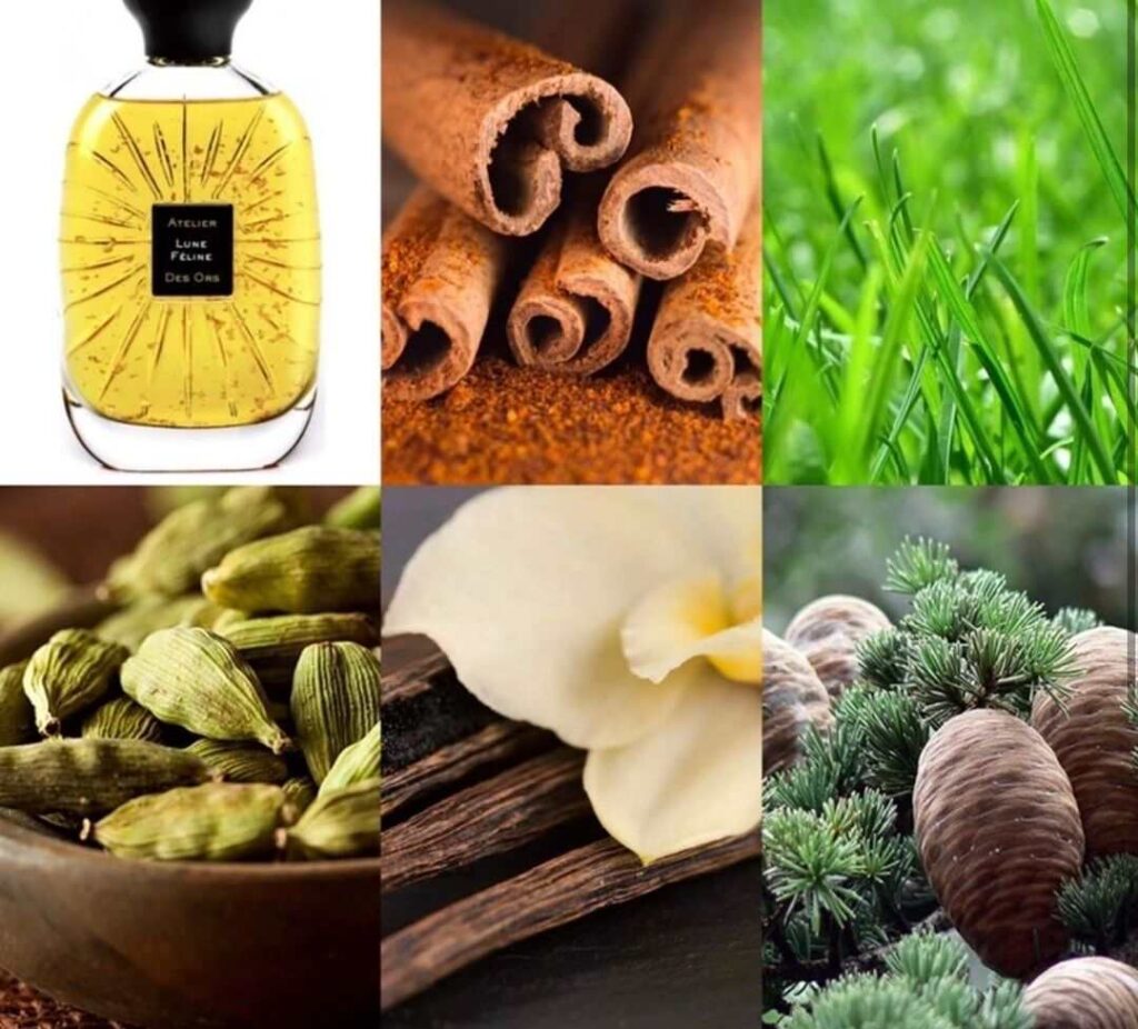 популярные ароматы, как выбрать духи, духи диор, духи шанель, туалетная вода, базовые ноты, ноты сердца