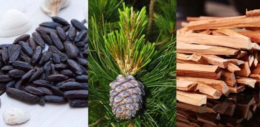 популярные ароматы, как выбрать духи, духи диор, духи шанель, базовые ноты 