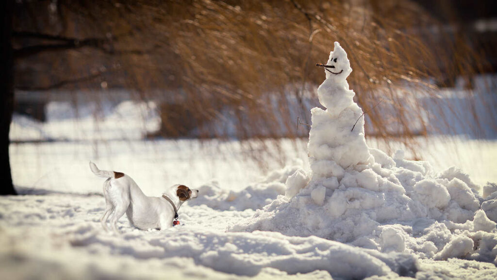 традиции последнего дня зимы, последний день зимы, праздник Онисим Овчарник