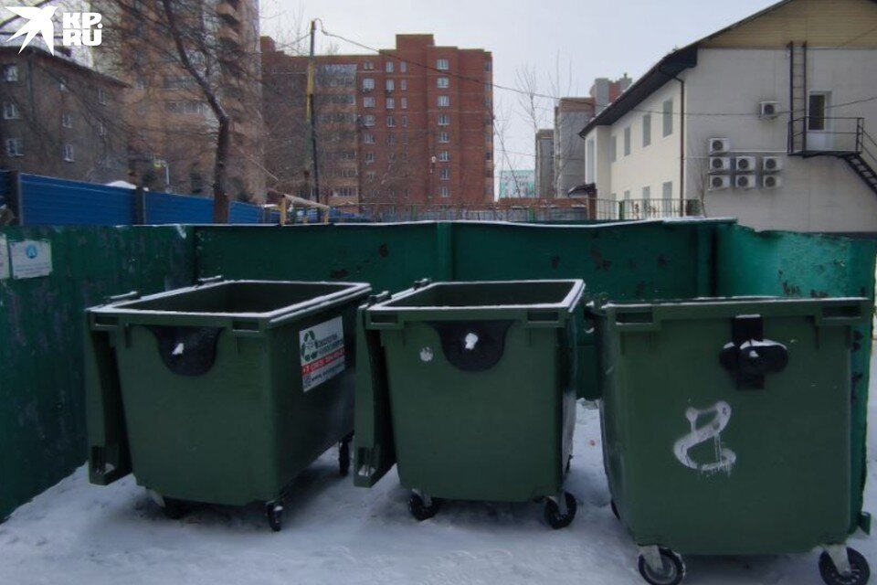 Жительница Новосибирска хочет усыновить младенца, которого выкинула в мусорный бак её дочь