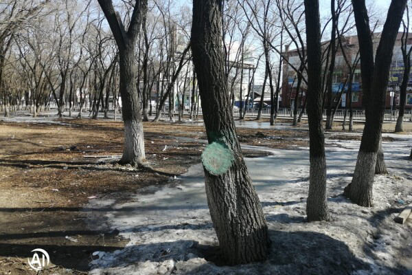 Благовещенск, сквер